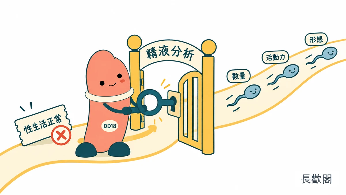 DD18角色整理男性不孕與精液分析檢查的示意圖