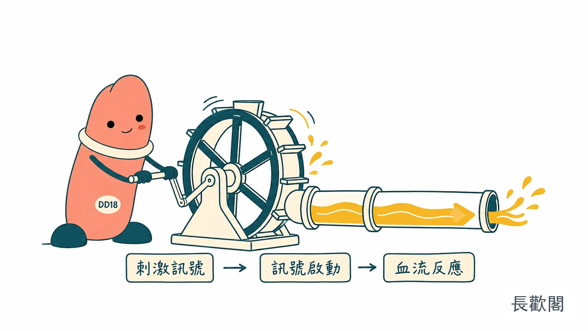 壯陽藥需要性刺激才支援血流與勃起反應