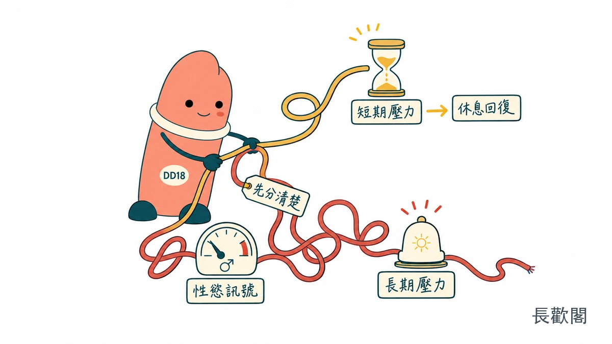DD18角色整理壓力類型與男性性健康訊號的示意圖