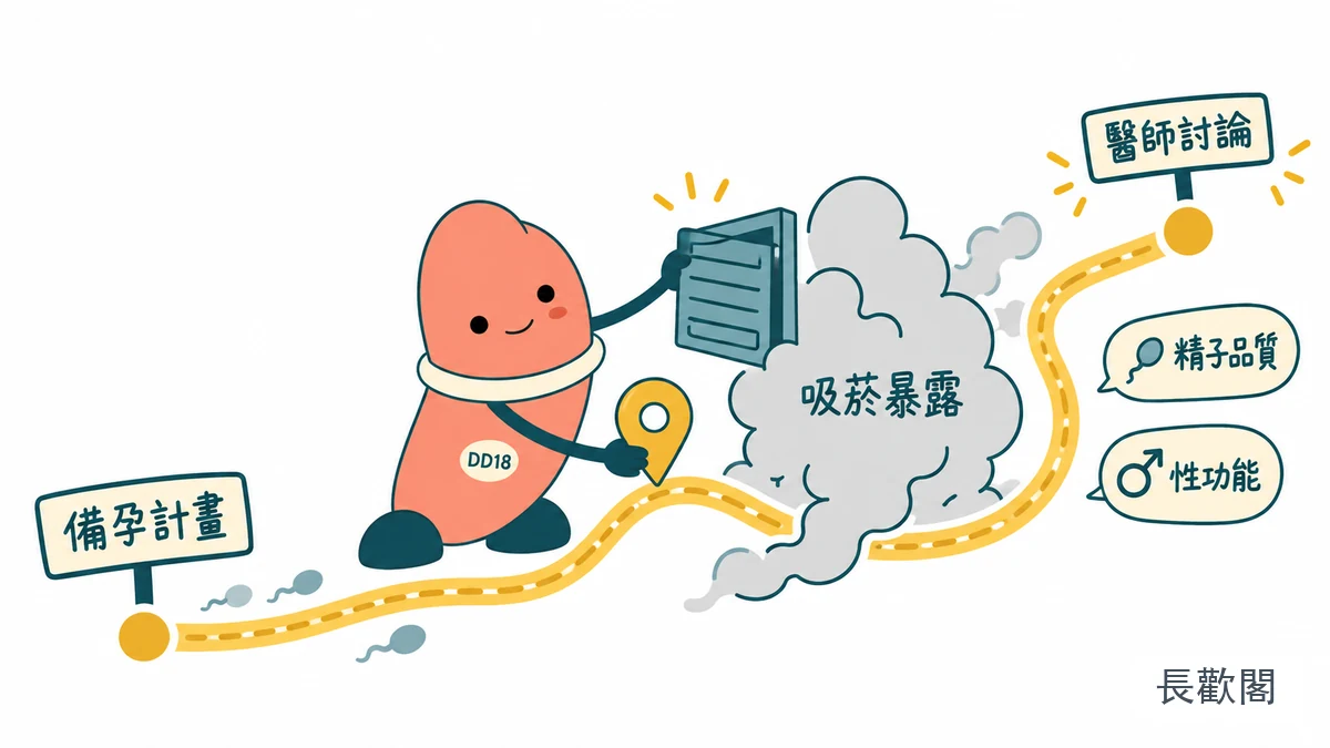 DD18角色整理吸菸暴露與男性生育討論的健康示意圖